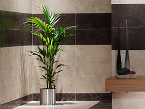 Removing a Stain Left By a Potted Plant